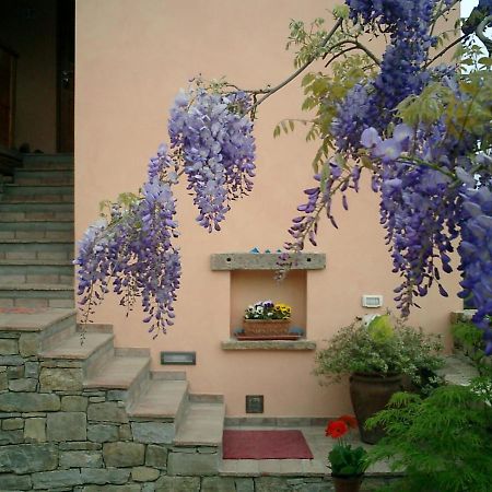 Bed and Breakfast Il Glicine San Dorligo della Valle Exteriér fotografie