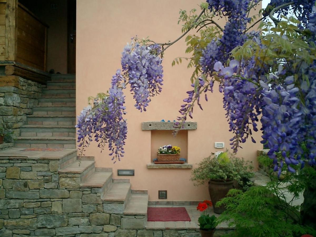 Bed and Breakfast Il Glicine San Dorligo della Valle Exteriér fotografie