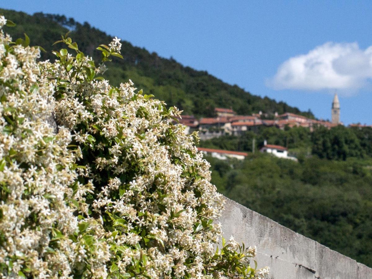 Bed and Breakfast Il Glicine San Dorligo della Valle Exteriér fotografie